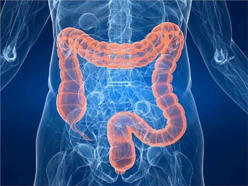IBD: 回肠末端厚度是克罗恩病患者行英夫利昔单抗治疗结果的预测指标