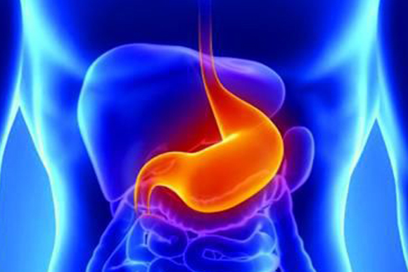 World J Gastroenterology: CC型趋化因子受体8型蛋白是<font color="red">胃肠道</font>间质瘤的预后指标