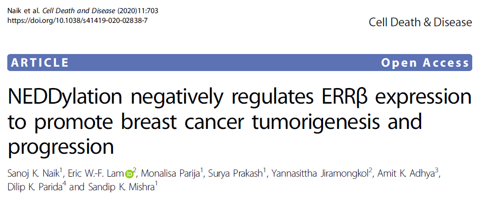 Cell Death Dis：类泛素化修饰负调节ERRβ促进乳腺癌的发生发展