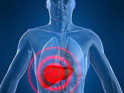 World J Gastroenterology: 血清铜蓝蛋白可预测乙肝病毒感染患者的肝纤维化程度