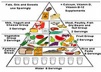 BMJ：饮食营养质量较低人群的<font color="red">死亡</font>风险增加