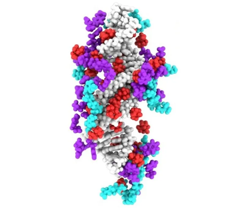 Science Advances：RNA疗法结合创新递送技术，让<font color="red">牛皮</font>癣不再“牛”
