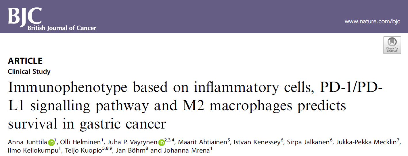 Br J Cancer：免疫相关机制影响<font color="red">胃癌</font>患者的生存率