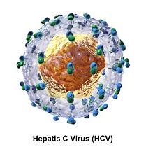 欧盟批准Epclusa应用于儿童慢性丙型肝炎！