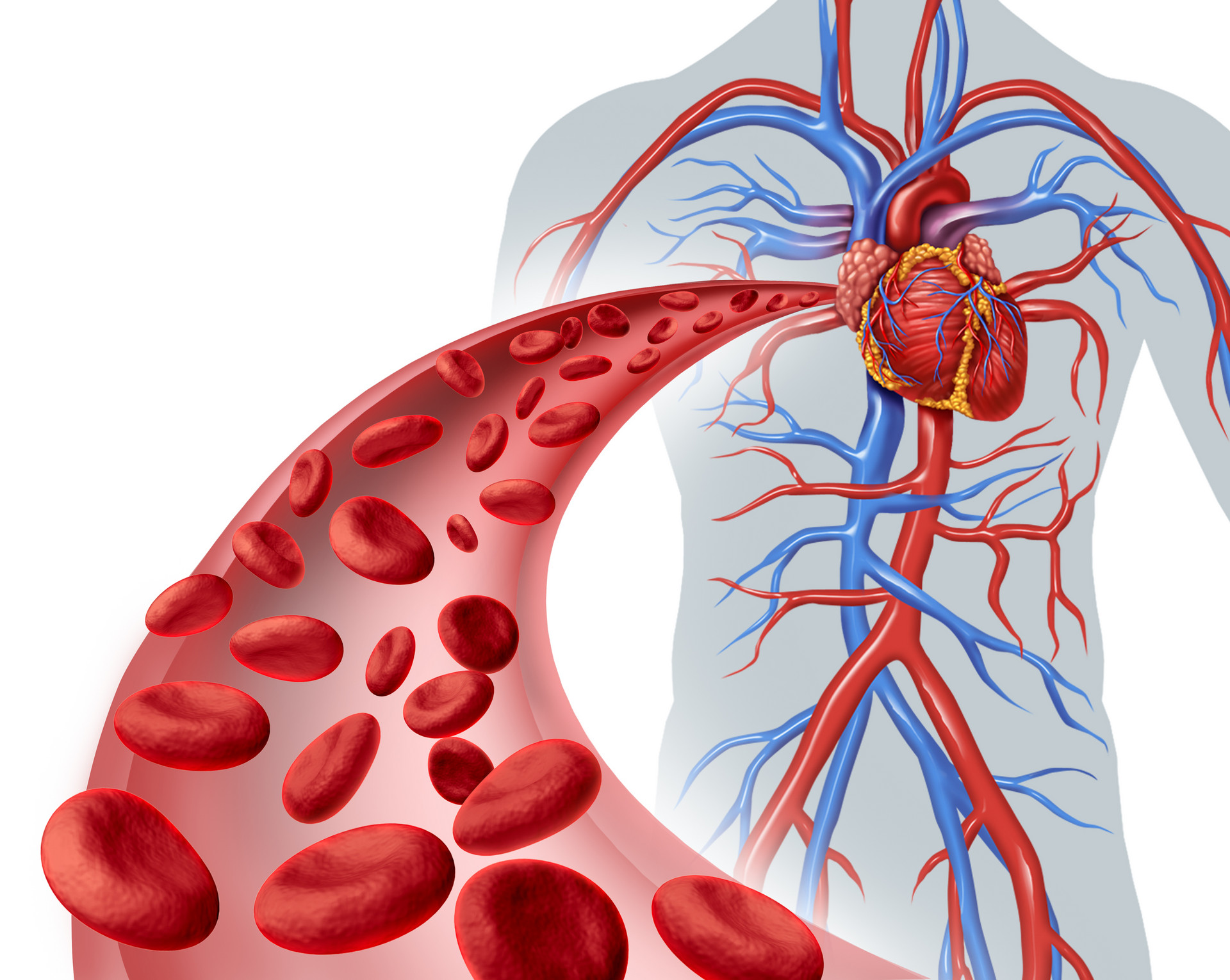 梅斯心<font color="red">血管</font>|JACC：COVID-19患者心肌<font color="red">损伤</font>的“真像”！