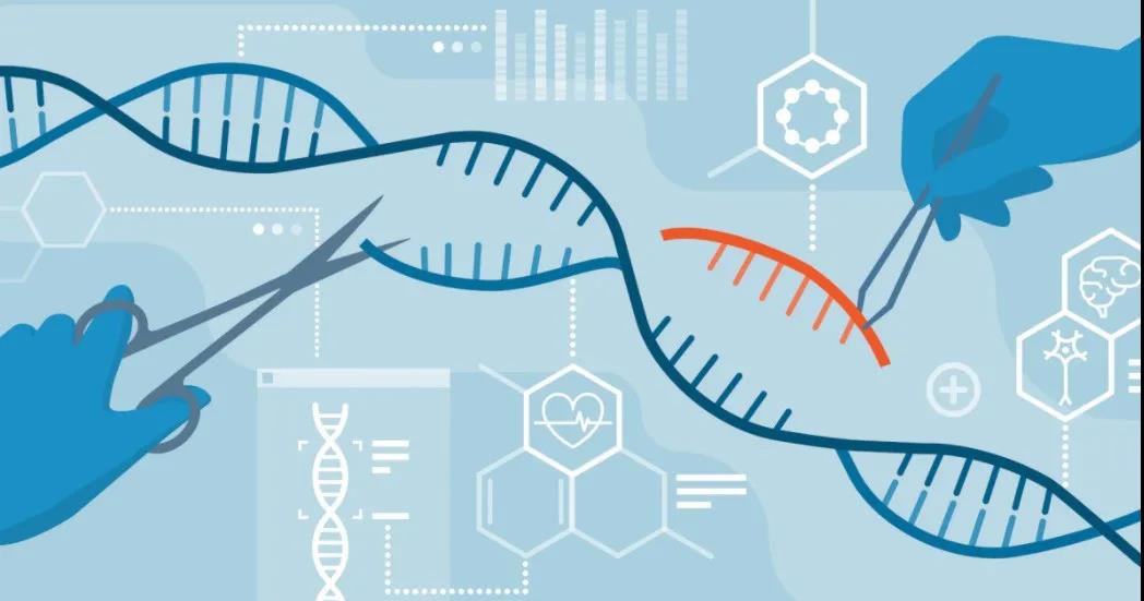 基因编辑的未来遭质疑，因严重安全问题，FDA暂停基于基因编辑的CAR-T临床试验