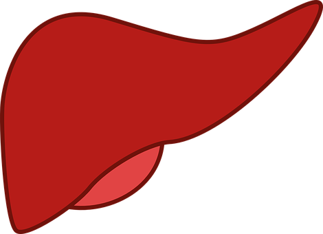J Hepatol：HCV<font color="red">肝硬化</font>患者持续病毒学应答后肝脏和非肝脏相关结局的发生率