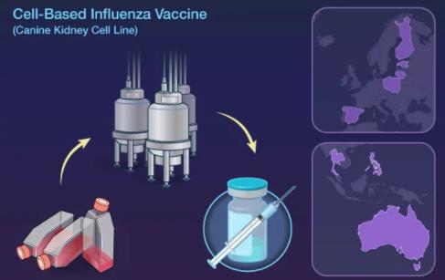 NEJM：<font color="red">细胞培养</font>四价流感疫苗对儿童流感的预防效果研究