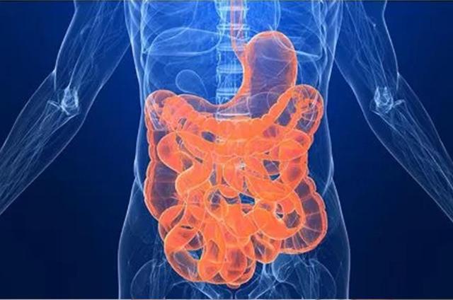 IBD: 维多珠单抗的组织浓度与炎症性肠病的粘膜炎症呈相关关系