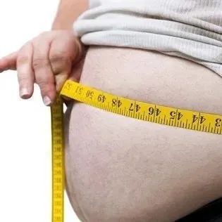 味精比果糖更容易发胖？Nature子刊揭示味精诱导肥胖机制