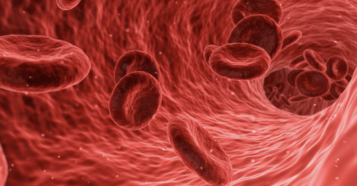 Science子刊揭示<font color="red">红细胞</font>“新身份”：不仅是氧气“搬运工”，还是人体免疫“哨兵”