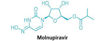 抗病毒COVID-19药物Molnupiravir可将住院和死亡风险减半