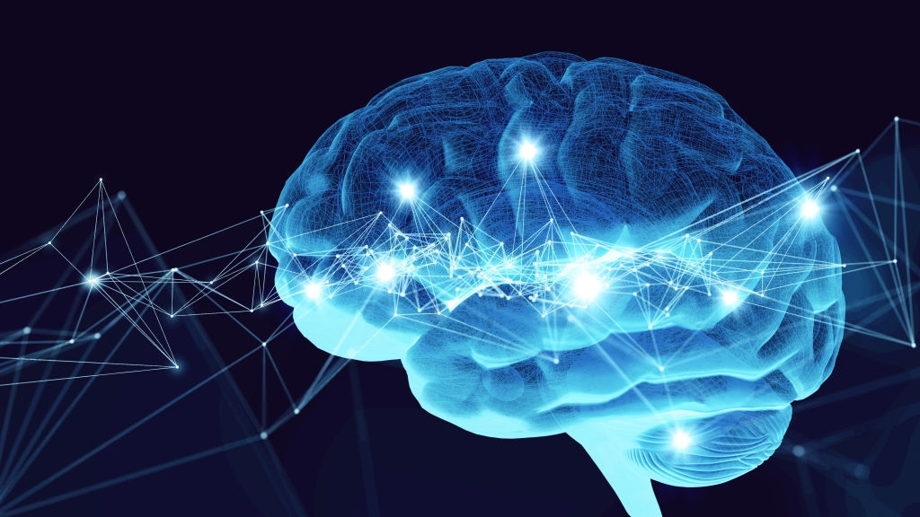 Alzheimer Dementia : 大脑不同区域的淀粉蛋白分布，有何特点？
