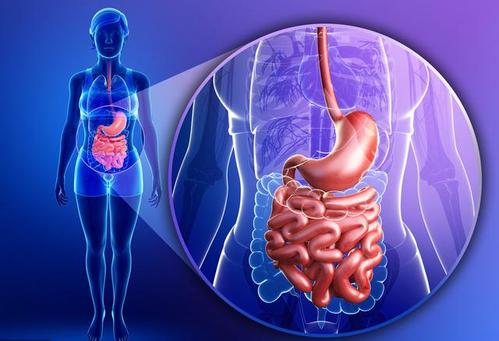 Clin Trans Gastroenterology:前列腺素E的主要尿代谢物可预测溃疡性结肠炎患者的复发情况