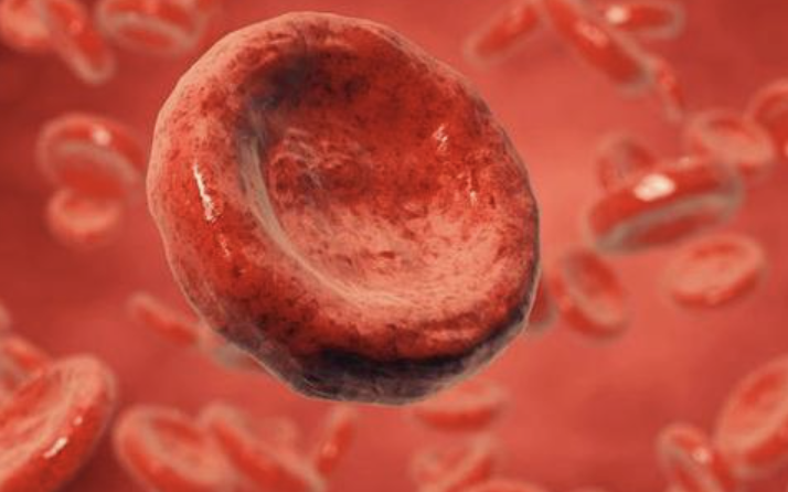 武田将收购GammaDelta Therapeutics，以加速开发针对实体瘤的异体γδT<font color="red">细胞</font>疗法