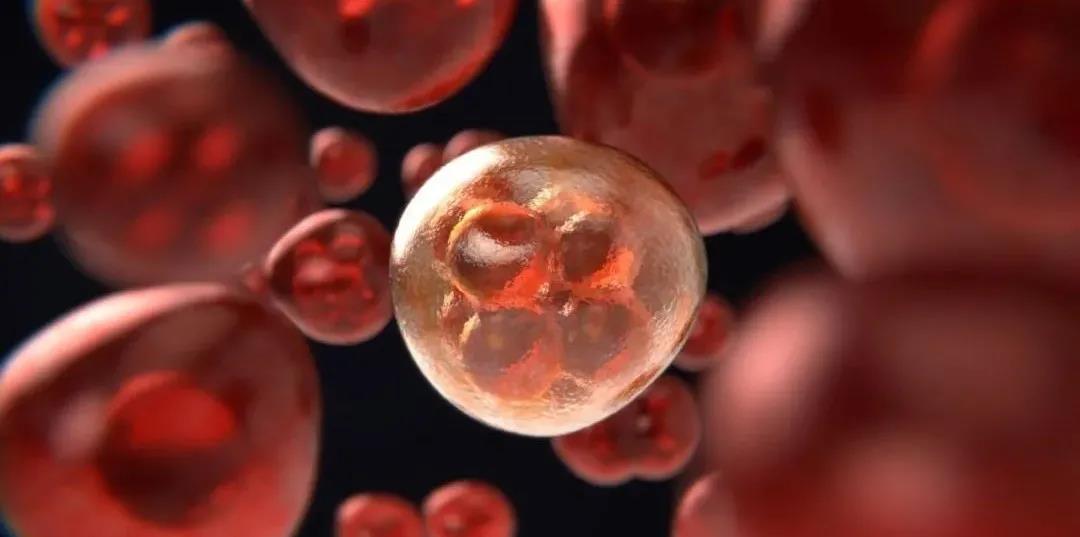 Nature Biomedical Engineering：给癌细胞穿上二<font color="red">氧化硅</font>外套，用来制造癌症疫苗，可根除肿瘤，还能长期保存