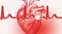 NEJM：低钠、高<font color="red">钾</font>摄入可降低心血管事件风险