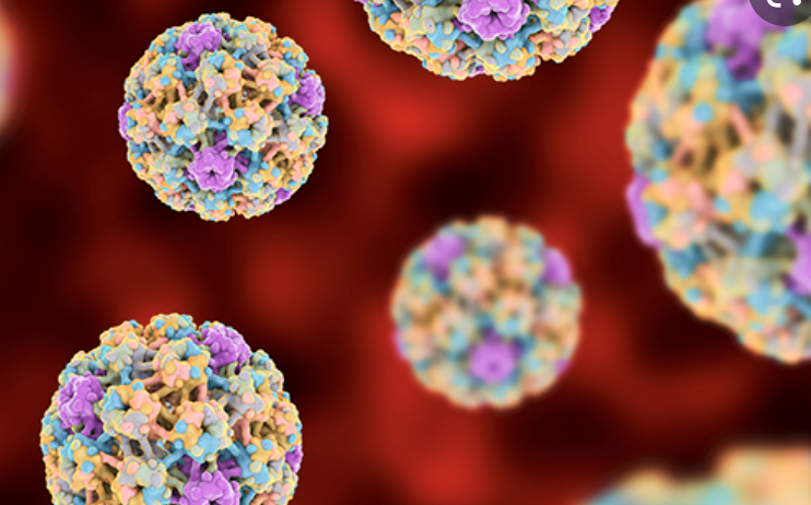 英国<font color="red">真实</font><font color="red">世界</font><font color="red">研究</font>证明，HPV 疫苗可将宫颈癌降低 87%
