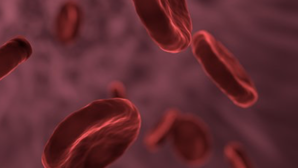 干细胞新药重大进展：多发性硬化症在研T-<font color="red">MSC</font>干细胞新药在美完成首例患者用药