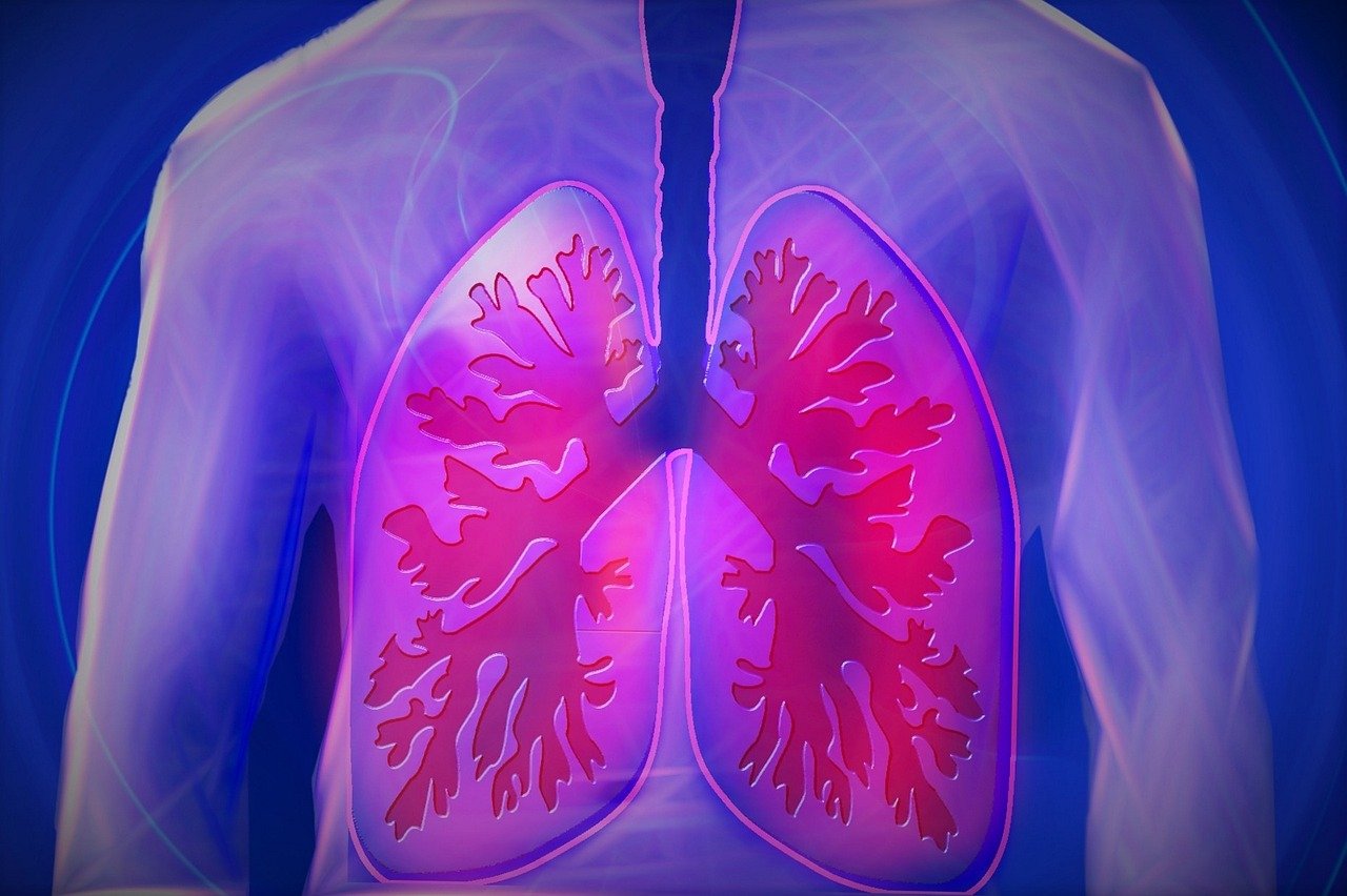 慢性阻塞性肺疾病中医肺康复临床应用指南