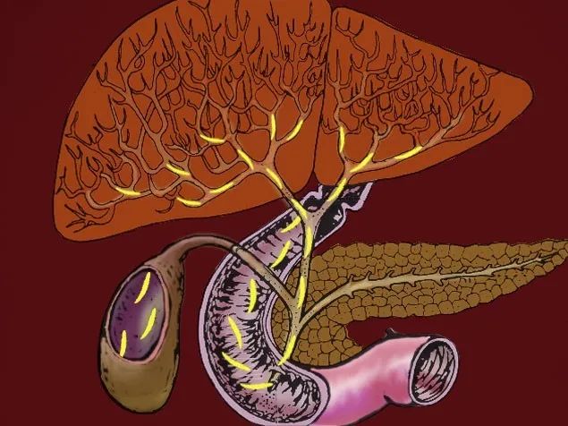 Clin Trans Gastroenterology：甲胎蛋白（AFP）和CA19-9是预测肝内胆管癌的良好预后指标