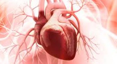 Circulation：保留射血分数的心衰（HFpEF）患者运动诱发肺充血的能量基础