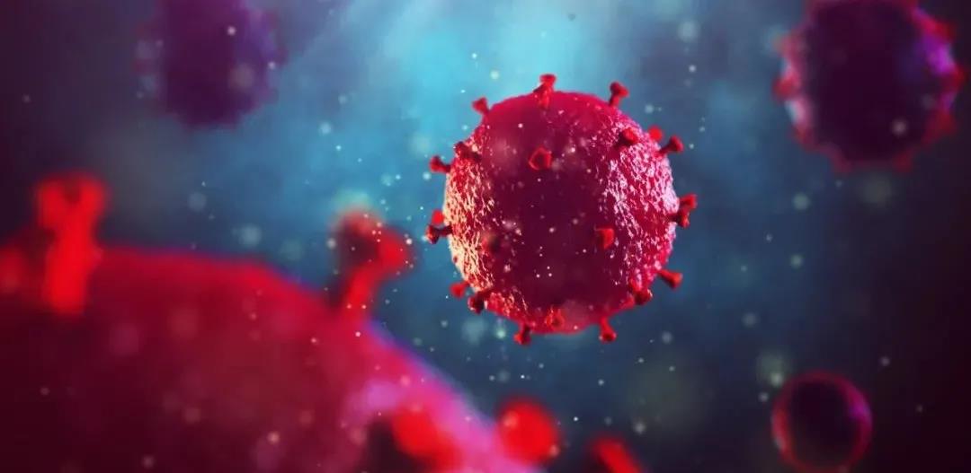 PLOS <font color="red">Biology</font>：艾滋病患者为什么会快速衰老？异常活化的中性粒细胞是关键