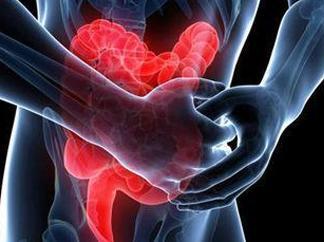 Clin Gastroenterology H：存在粘膜愈的克罗恩病患者的持续性腹泻与肠道微生物组多样性降低和营养不良增加有关