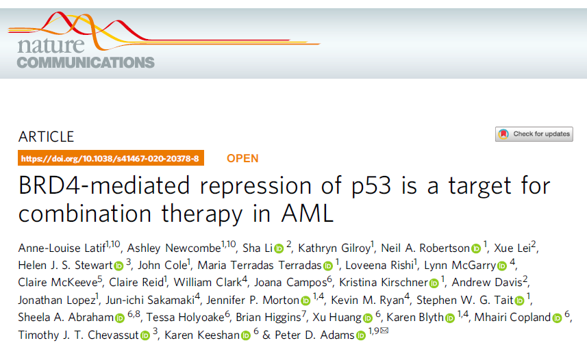 Nat Commun：BRD4介导p53抑制作用是急性髓性白血病的联合治疗靶标