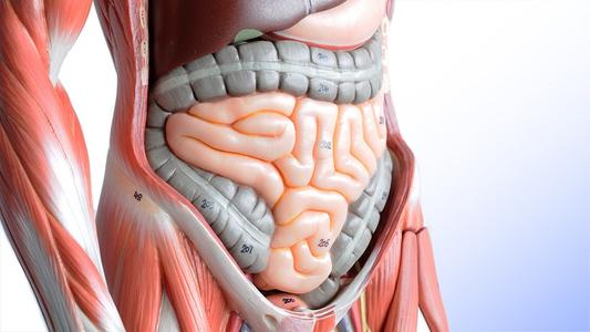 BMC Gastroenterology: 出血性胃<font color="red">十二指肠溃疡</font>患者预后不良和日常生活活动受损的危险因素