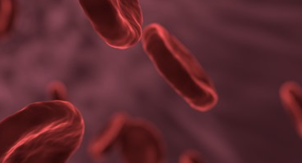 血管<font color="red">特异性</font>炎症标志物：脂蛋白相关<font color="red">磷脂酶</font>A2
