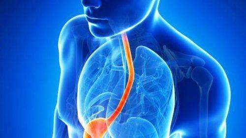 Clin Trans Gastroenterology：胆汁吸入的危险因素及其对临床结果的影响