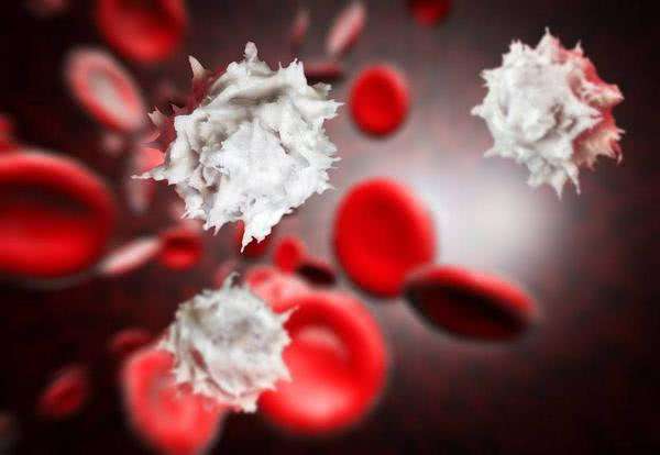 AP&T: 根据NUDT15基因<font color="red">分</font><font color="red">型</font>的剂量优化策略可减少硫嘌呤治疗克罗恩病期间的白细胞减少症