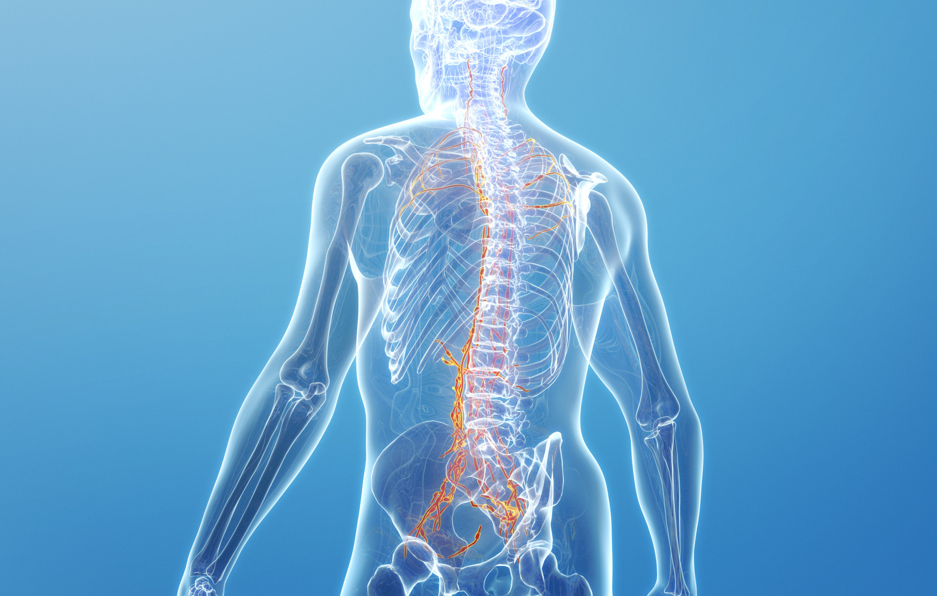 脊柱结核怎么鉴别诊断？