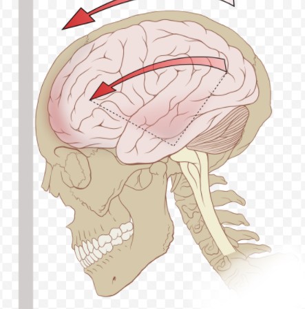 Neurology：脑震荡后有氧<font color="red">运动</font>效果不佳？CO2可能介导了<font color="red">运动</font>对血流动力学的影响