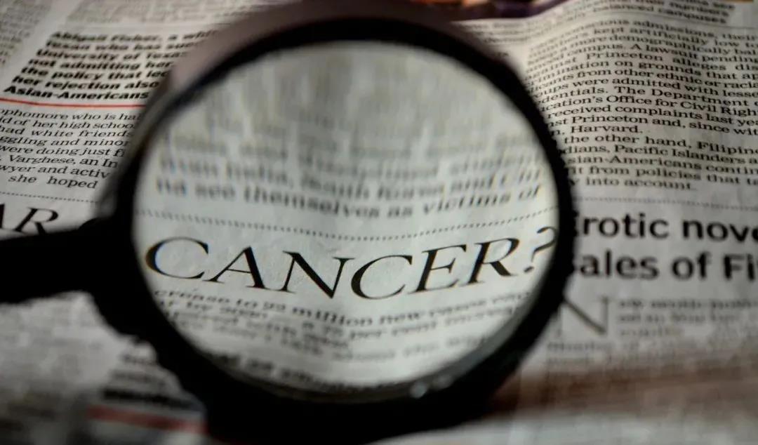 Cancer Cell：所有癌症可简单分为两大类，根据是否表达YAP蛋白