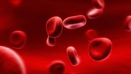 Kidney Int：蛋白尿慢性肾病与红<font color="red">细胞</font><font color="red">寿命</font>、变形能力和代谢改变有关