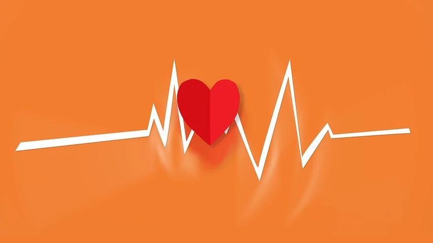 欧洲心脏杂志上的 2020 年——心血管成像：第一部分