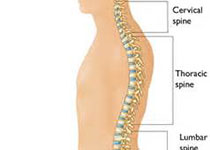 经椎弓根动态棒固定技术治疗腰椎退行性疾病专家共识