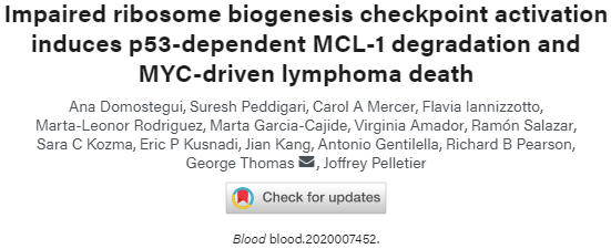 Blood：核糖体<font color="red">合成</font>检查点激活障碍可诱导p53<font color="red">依赖</font>性MCL-1<font color="red">降解</font>和MYC驱动型淋巴瘤死亡