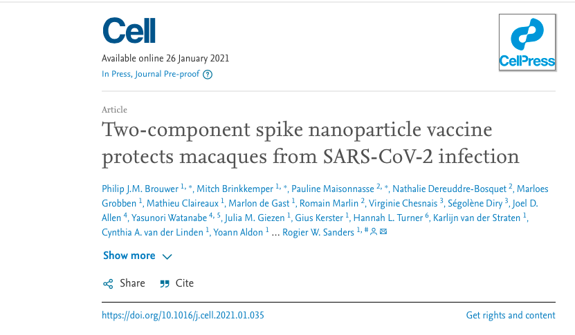 CELL：两组分加标纳米<font color="red">颗粒</font>疫苗可保护猕猴免受SARS-CoV-2感染