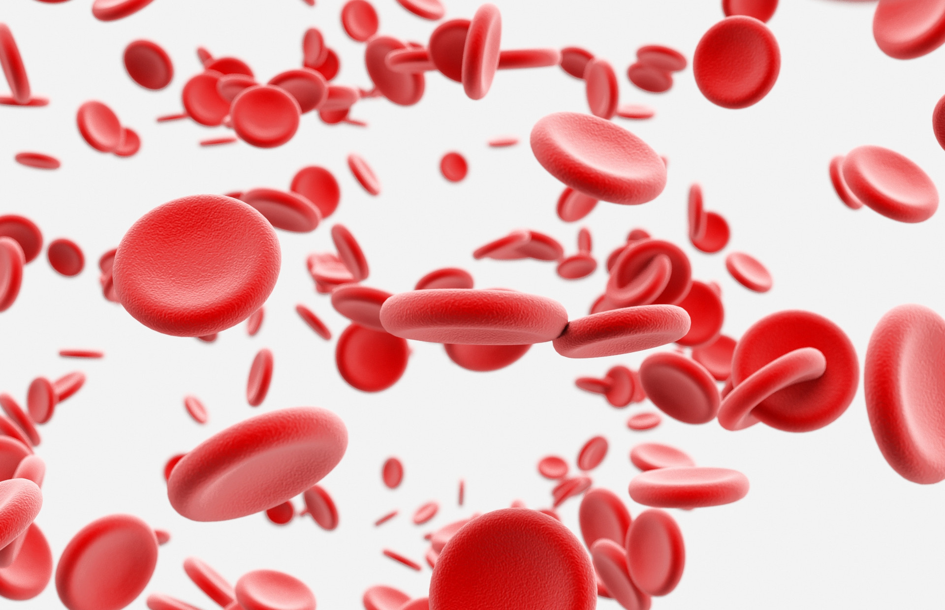 A&<font color="red">R</font>: 雌激素诱导的hsa-miR-10b-5p在系统性红斑狼疮患者的T细胞中升高，并下调富含丝氨酸/精氨酸的剪接因子1