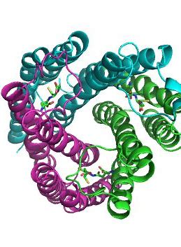Nat Commun：短H2A组蛋白<font color="red">突变体</font>在癌症中表达并表现癌蛋白特性