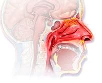 Auris Medical宣布启动AM-301治疗过敏性鼻炎的临床研究