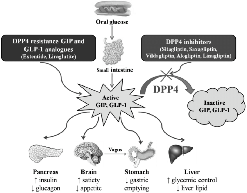 ASCO GU 2021: DPP4抑制剂对糖尿病合并前列腺癌患者PFS的影响