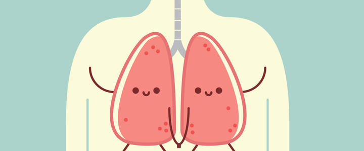 <font color="red">Respiratory</font> Research：透明质酸对治疗慢性肺部疾病有效