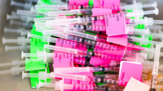 BMJ：新冠疫苗会影响<font color="red">生育能力</font>吗？专家予以确切否定！