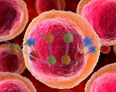  Clinical Nutrition: 25（<font color="red">OH</font>）D的生物利用度与弥漫性大B细胞淋巴瘤患者的临床结局相关