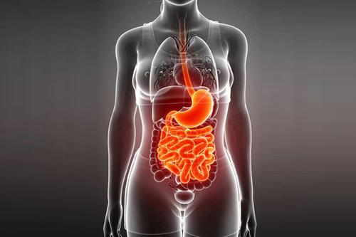  DCR: 结肠癌切除术后的内脏脂肪含量与吻合口漏发生率之间的关系