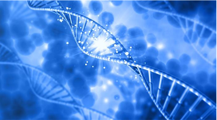 Nat Commun：基因治疗：法布里病的潜在治疗策略